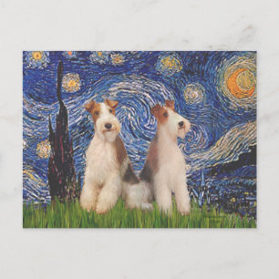 Sterrennacht - Twee draad Fox Terriers Briefkaart