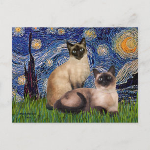 Sterrennacht - Twee Siamese katten (Choc Pt.) Briefkaart