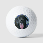Sterrennacht Van Gogh Geïnspireerd Funny Black Lab Golfballen (Voorkant)