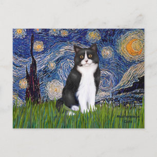 Sterrennacht - Zwart en Witte Kat Briefkaart