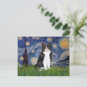 Sterrennacht - Zwarte en witte kat Briefkaart (Staand voorkant)