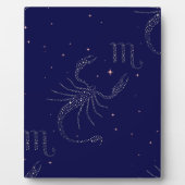 sterrenscorpio fotoplaat (Voorkant)