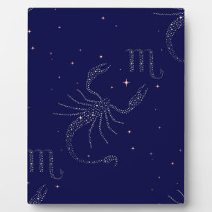 sterrenscorpio fotoplaat
