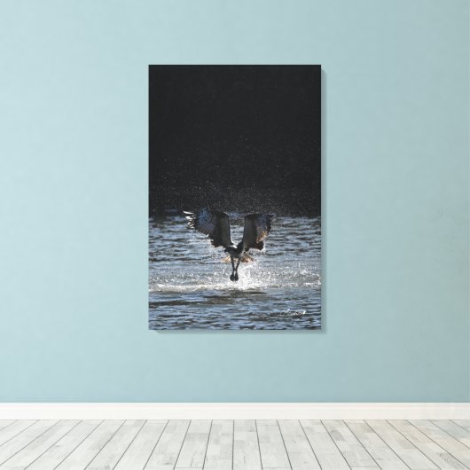 Sterrenstof - Osprey Canvas Afdruk (Insitu (Houten vloer))