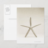 Sterrenvis Briefkaart (Voorkant / Achterkant)