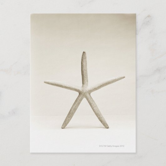 Sterrenvis Briefkaart (Voorkant)