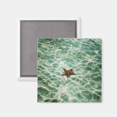 Sterrenvis eiland magneet (Voorkant / Achterkant)