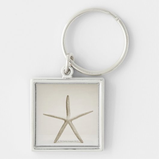 Sterrenvis Sleutelhanger (Voorkant)