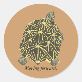 Sterschildpad, schilderij op bevestiging stickers