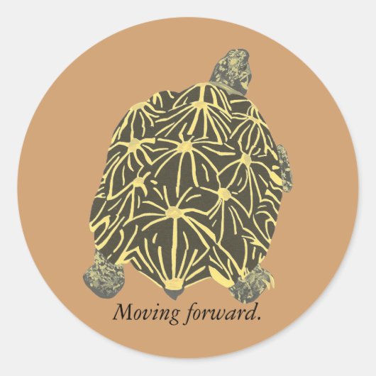 Sterschildpad, schilderij op bevestiging stickers (Voorkant)