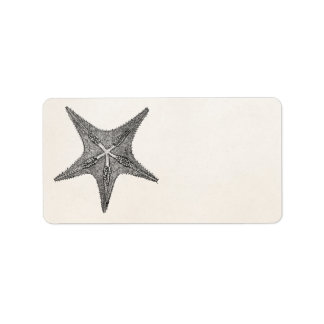  stervis Antiek Star Fish Sjabloon Etiket