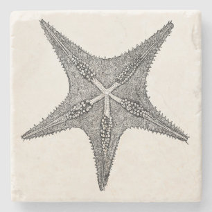stervis Antiek Star Fish Sjabloon Stenen Onderzetter