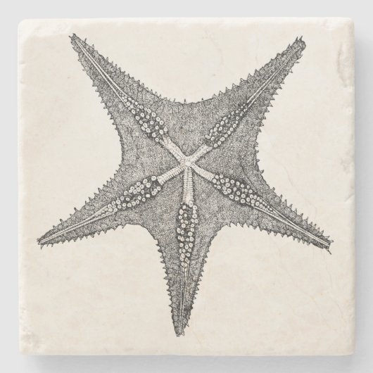 stervis Antiek Star Fish Sjabloon Stenen Onderzetter (Voorkant)