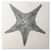 stervis Antiek Star Fish Sjabloon Tegeltje (Voorkant)