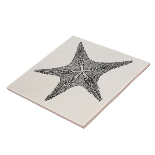 stervis Antiek Star Fish Sjabloon Tegeltje (Zijkant)