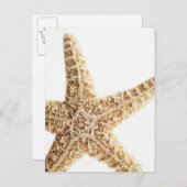 Stervis Briefkaart (Voorkant / Achterkant)