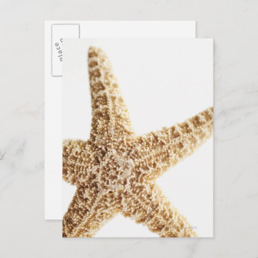 Stervis Briefkaart (Voorkant / Achterkant)