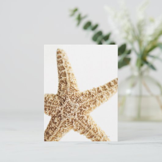 Stervis Briefkaart (Staand voorkant)