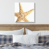 Stervis Canvas Afdruk (Insitu (Slaapkamer))