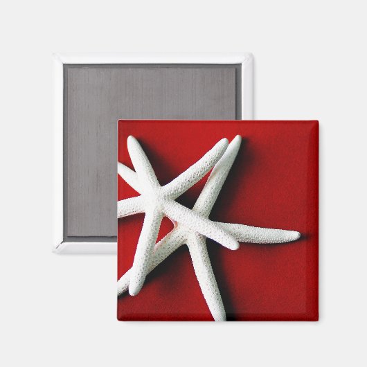 Stervis Magneet (Voorkant / Achterkant)