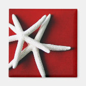 Stervis Magneet (Voorkant)