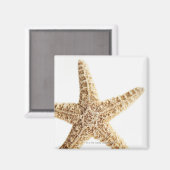 Stervis Magneet (Voorkant / Achterkant)