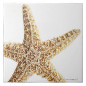 Stervis Tegeltje (Voorkant)