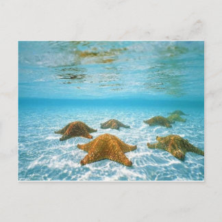sterviseiland.jpg briefkaart