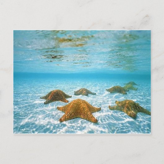 sterviseiland.jpg briefkaart (Voorkant)