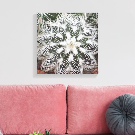 Stervormige cactus van Debra Lee Baldwin Canvas Afdruk (Insitu (Woonkamer))