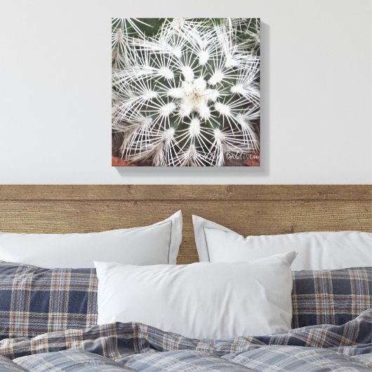 Stervormige cactus van Debra Lee Baldwin Canvas Afdruk (Insitu (Slaapkamer))