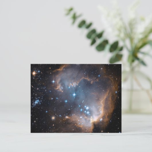 Sterwolk Briefkaart (Staand voorkant)