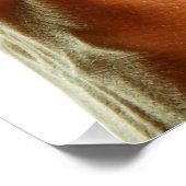 Stethoscoop in een hand voor een ziekenhuis sfeer. perfect poster (Hoek)