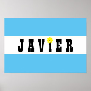 Steun Javier Milei President van Argentinië Ja! Poster