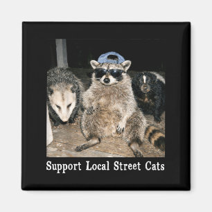 Steun lokale straatkatten grappige wasbeer stinkdi magneet