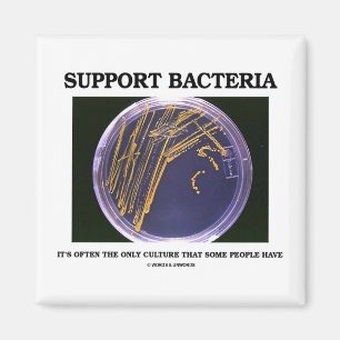 Steun voor bacteriën vaak slechts cultuur Sommige Magneet