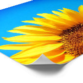 Steun voor de blauwe hemelgele zonnebloem in Oekra Poster (Hoek)