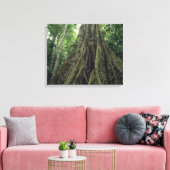 Steunbeerboom in regenwoud, Corcovado Canvas Afdruk (Insitu (Woonkamer))