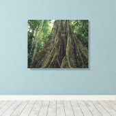 Steunbeerboom in regenwoud, Corcovado Canvas Afdruk (Insitu (Houten vloer))