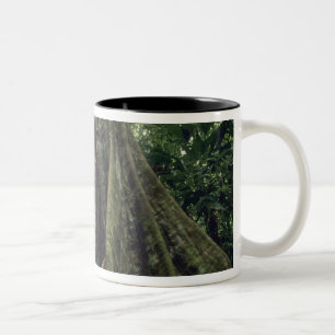 Steunbeerboom in regenwoud, Corcovado Tweekleurige Koffiemok