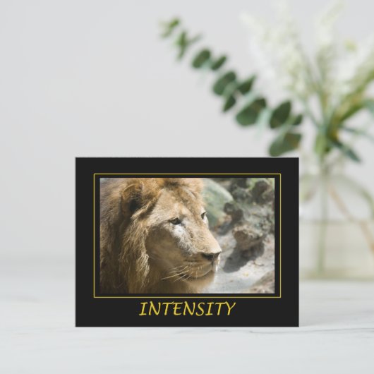 Steunintensiteit Briefkaart (Staand voorkant)