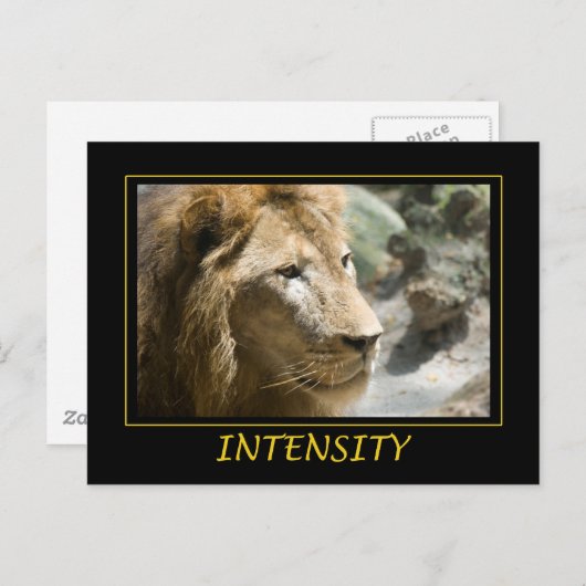 Steunintensiteit Briefkaart (Voorkant / Achterkant)