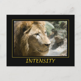 Steunintensiteit Briefkaart