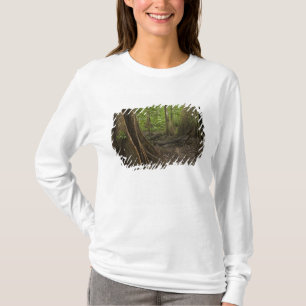 Steunwortels. Regenwoud, Mapari Rupununi, 2 T-shirt