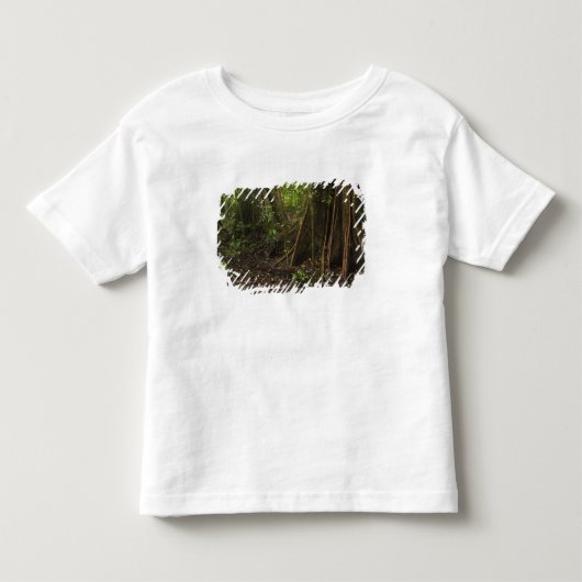 Steunwortels. Regenwoud, Mapari Rupununi, Kinder Shirts (Voorkant)