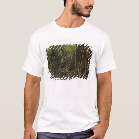 Steunwortels. Regenwoud, Mapari Rupununi, T-shirt (Voorkant)