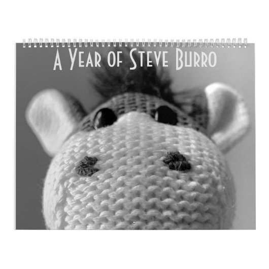 Steve Burro Calendar Kalender (Hoes)