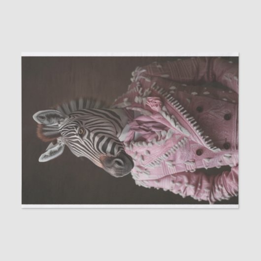 Steve de Zebra Tissuepapier (Voorkant)