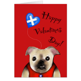 Steve valantimes cerd