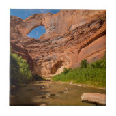 Stevens Arch - Escalante River - Utah Tegeltje (Voorkant)